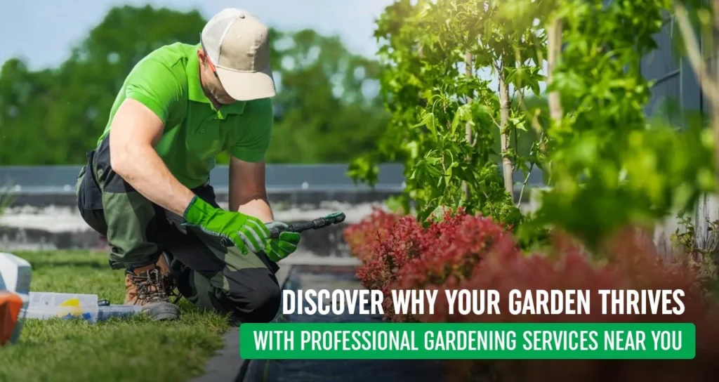 Why Your Garden Responds Better to Professional Services